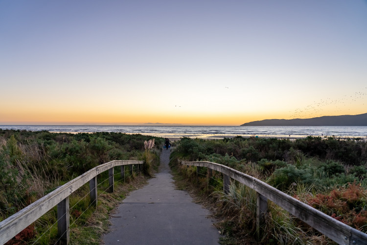 August Market Report 's Cover Image